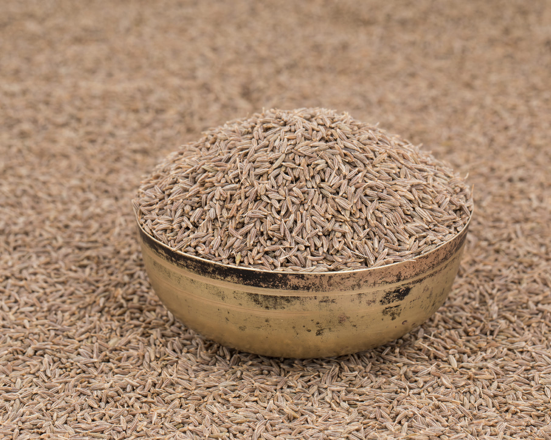 Cumin seeds