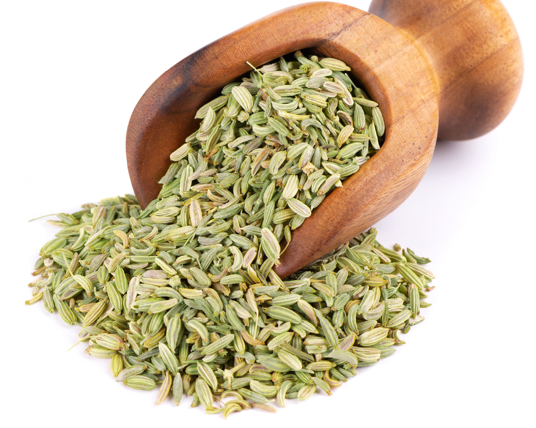 Fennel Seeds