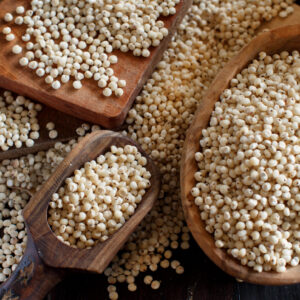 Sorghum